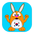 学韩语说韩语(LuvLingua)app手机版