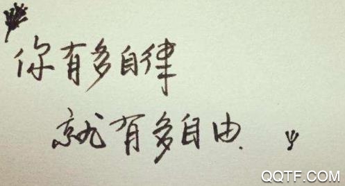 打卡小日常app安卓版 打卡小日常app安卓版