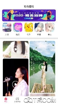 精灵动态壁纸大全最新版