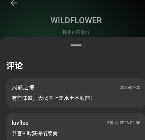 欧若拉音乐app手机版Aurora Music 欧若拉音乐app手机版Aurora Music