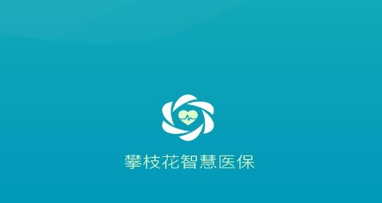 攀枝花智慧医保官方版