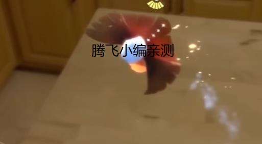 AR相机官方正版Google Play Services for AR AR相机官方正版Google Play Services for AR