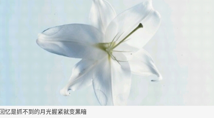 晚安语录app官方版 晚安语录app官方版